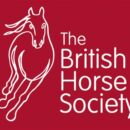 British Horse Society Inspection